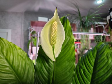 �� ����� ���� ��������: ��������, ������� ����� ����� ��������� �������� �����