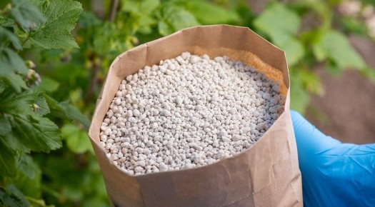 ��� NPK ������ ����� ������� ��� ������ ��������������