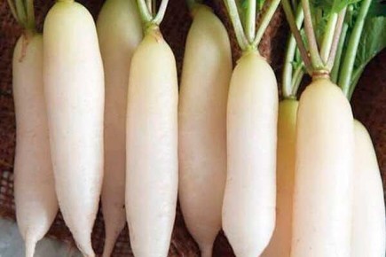 ����� ������� ������: �������� ����������� � ������ �� �����