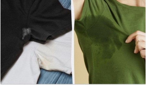 ��� ����� ���������� �� ����� �����������: ������ � ��������