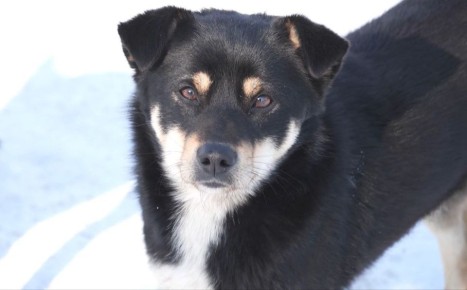 ������� ���������. �������, 5 �������, ����� ���������� ����������