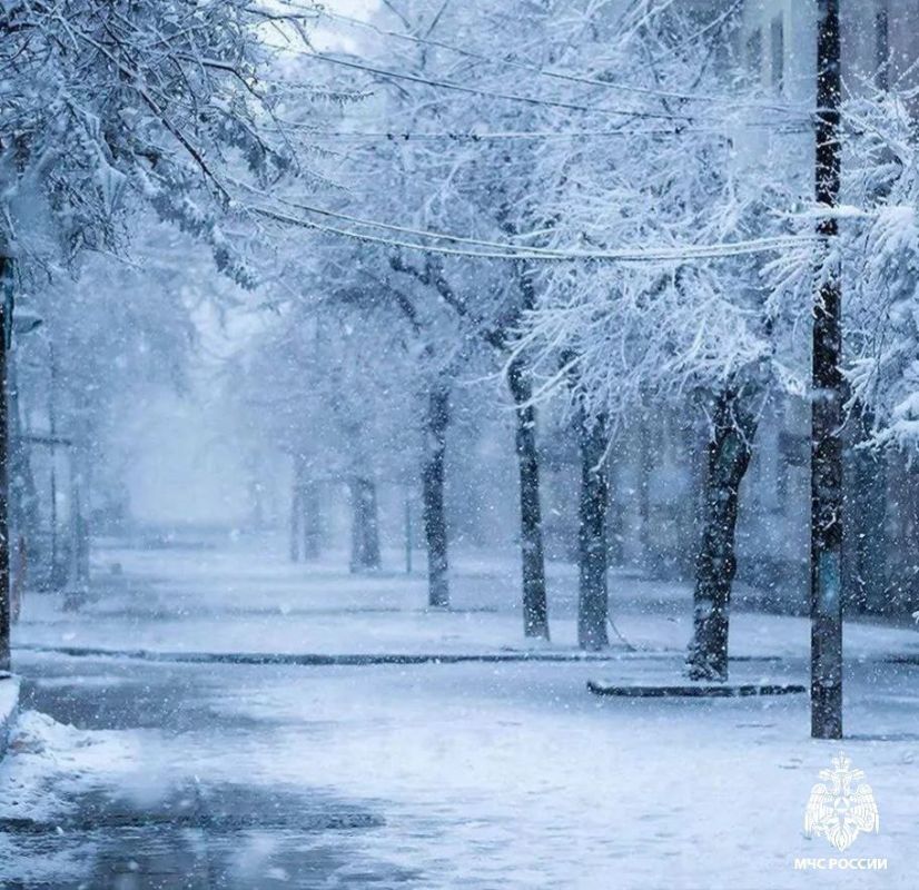 ����: � ������������ ������� �������������� �������� ��������������� ������������