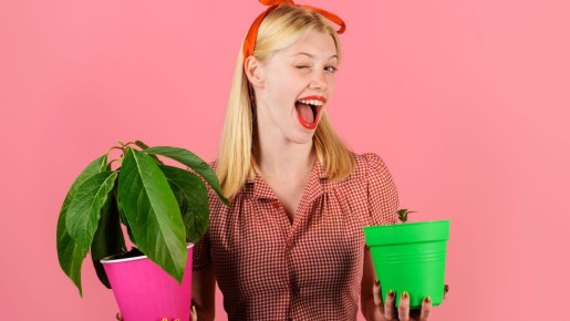 ��������� �������� ������� ���� �� ����� ����: ��� ��� ������ ������ ���������