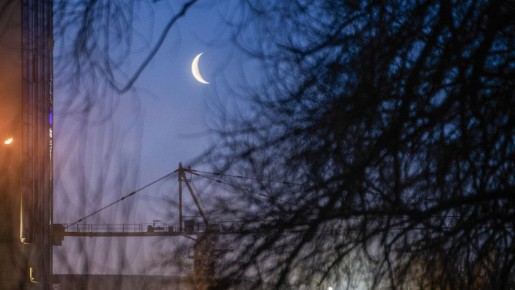 �������� ����� ��������� ������� �������� ���, ���� ����������