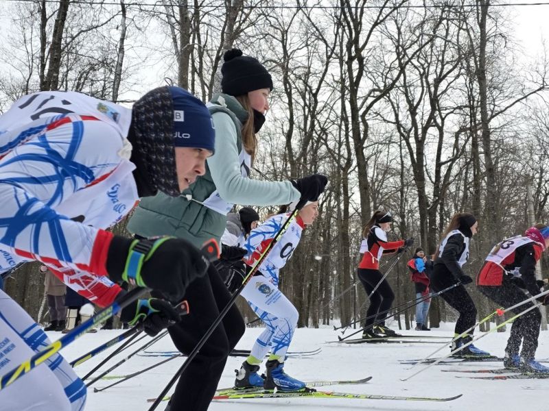 ������������ ����������� ������� ������� � ������ ������������ ����� � 2026�