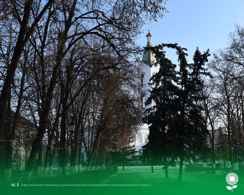 7 �������. ����������� ������� -2�C, �������, ��������� ����