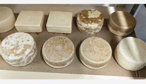 ��������� ������������ ������ ������������������ ������ ������ ����-���������