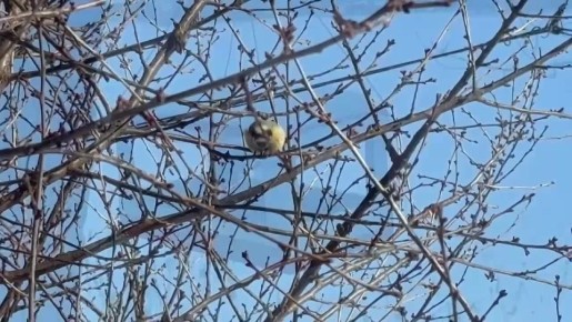 ��������� �������� ����� � �����, �� ������� ������������ ����������� �������� ����� � ������ ����