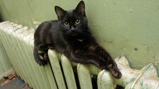 �������: ����� 80 ����� ������� ��������� �������� ��� ���������