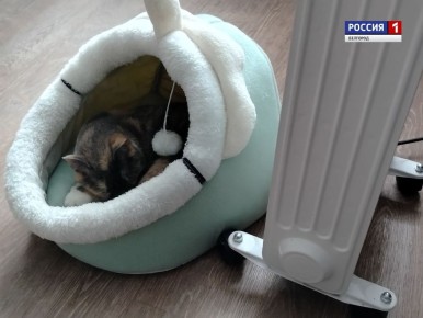 ��� ���� ���� � ����� ������