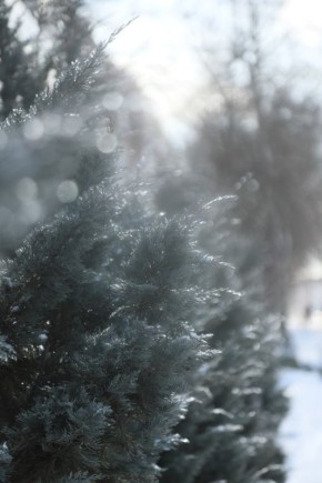 ������ �������� ����, ���������!