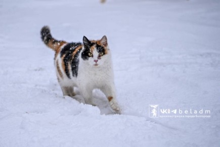 �������, 12 �������. �� ����� ��������, �� ������ �������-�� ������� � � -10�� ����� �� +2�� ����