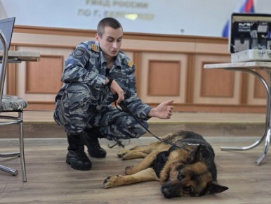 ���� ����� � ������������: ������������ ���������������� ������� ����� � ��������� ����