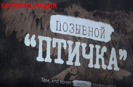 Иностранным студентам НИУ «БелГУ» показали фильм журналиста нашего холдинга Ольги Чёрной «Позывной «Птичка»