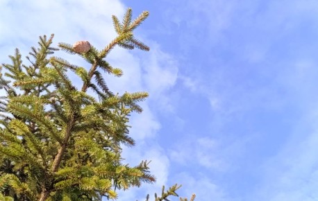 ������ ������ ���� � ��������� ����, ������������� ��������� ��������