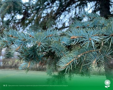 14 февраля. Температура воздуха 2°C, облачно, небольшой дождь