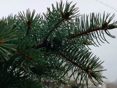 Сегодня, 14 февраля, будет облачно