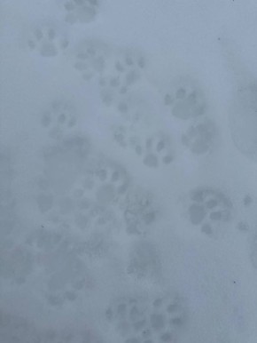 Доброе утро, белгородцы!. Сегодня нас ожидает резкий перепад температур