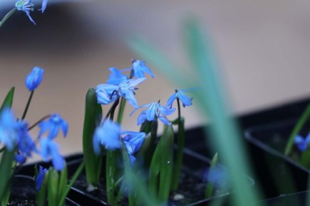 ������������ ������ ���������� ������ � ������ ���������������� �� �������� �������������� ����������� ��������� ��� ������������� ����������