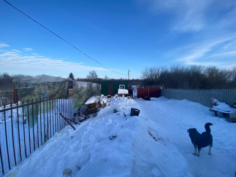 Корочанские полицейские установили подозреваемого в краже корма для собак