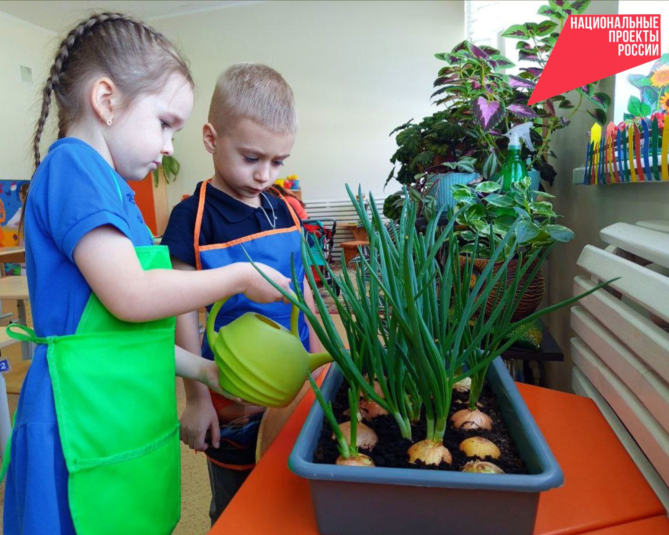 В рамках нацпроекта «Экологическое благополучие» в детских садах нашего округа реализуется комплексная программа экологического воспитания
