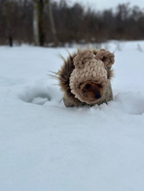Доброе утро, белгородцы!. Сегодня, 17 февраля, в Белгороде ожидается облачная погода