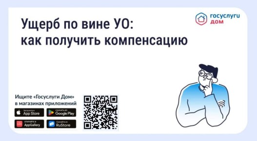 Ущерб по вине УО: как получить компенсацию