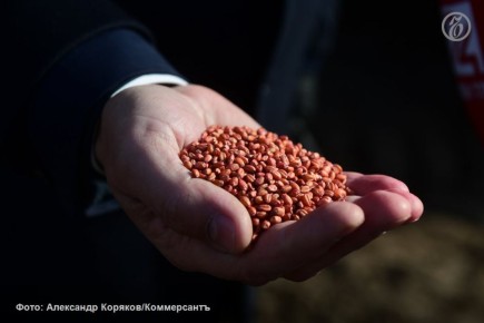 «Русагро» и турецкий партнер учредили в Белгороде совместное предприятие