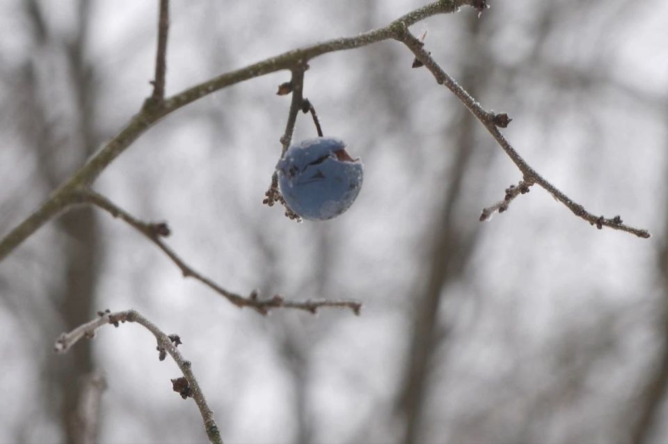 �������, 17 �������, ��� ��� �������� � ������������ ������