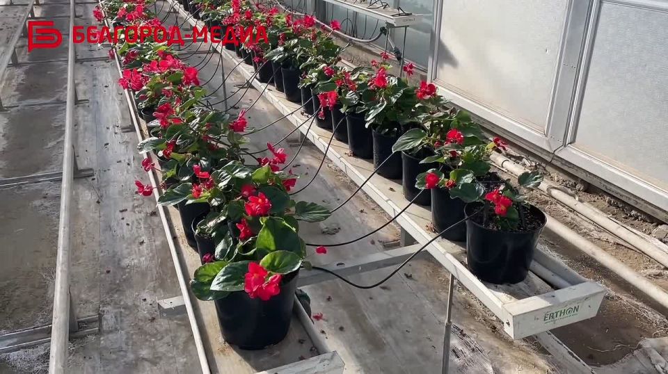 � �������� ��������������������� ������� ��������� �� �������, ������� ���� ������ ������� �����