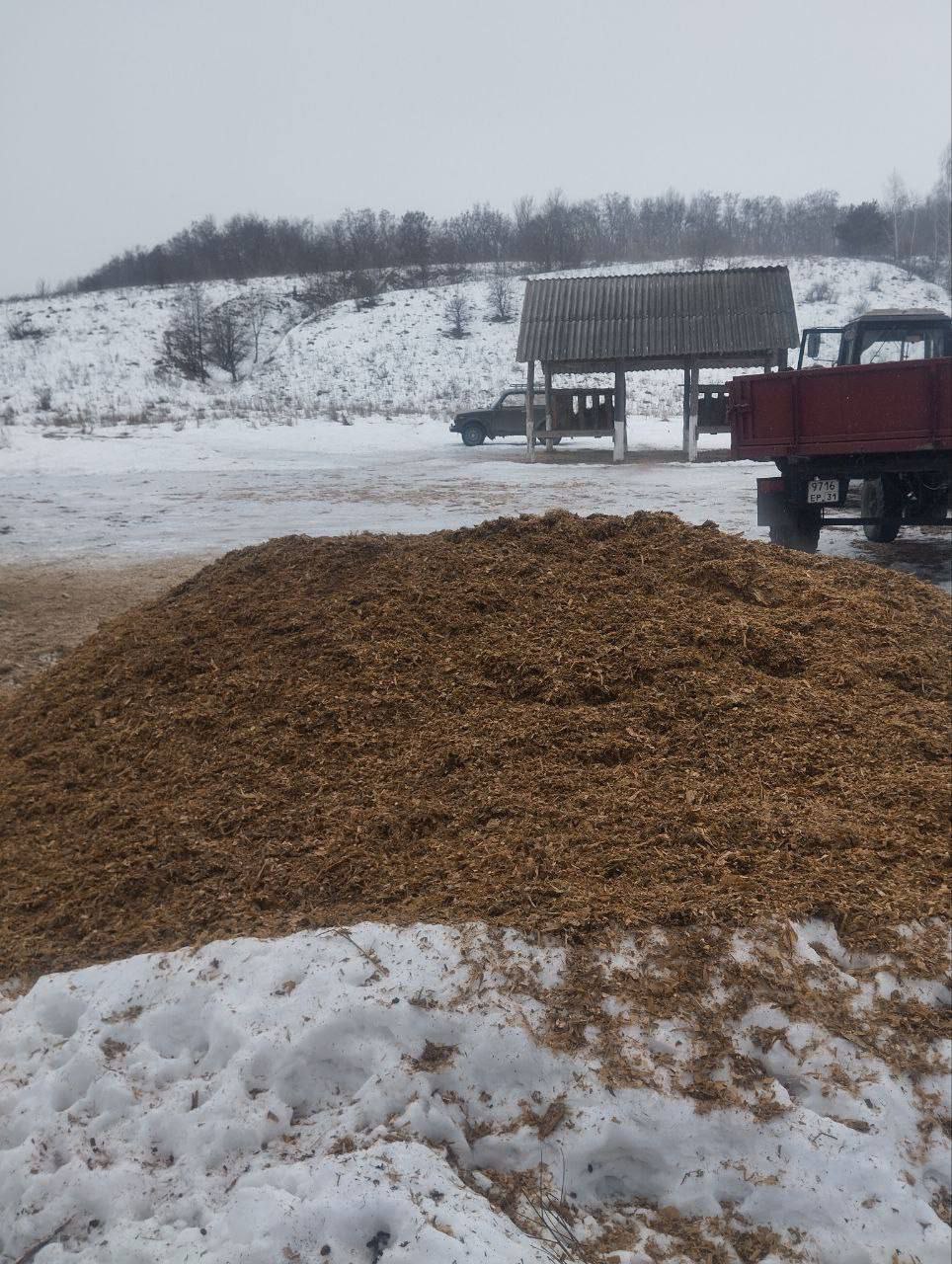 Олег Медведев: Зимний период – время, когда диким животным особенно сложно добывать пищу