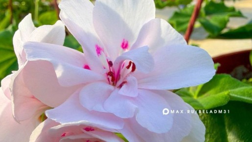 � ��������� �� �������� �������� �������� �������