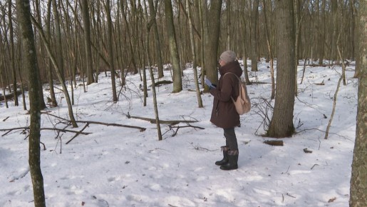 � ����������� ������������ ������ ���������� ����� �������� ��������