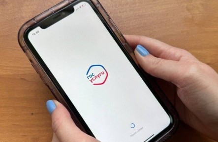 Ѡ������ ���� ����� 330 ��� ���������� �������� ��������� ����� ������������