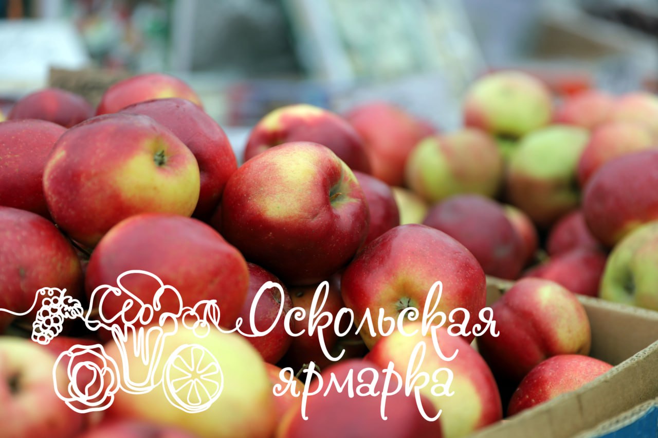 Фермерская ярмарка в Старом Осколе!