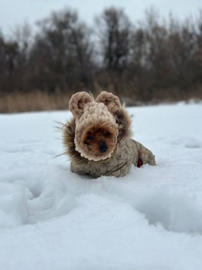 ������� �� ����������!. ���� � ������� ����� ���� ���� �������