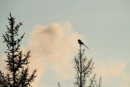 ������, ����� � ����� �����