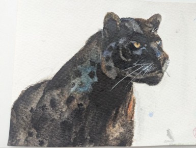 ������������ ������� �������� ������� �������� � ����� ������� ������