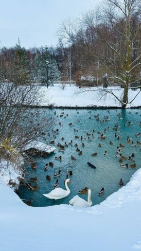 ������ 21 �������. ������� ��������� ������� ����� ������