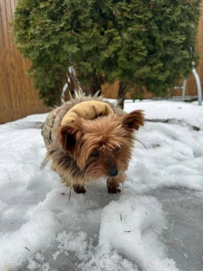 ������ ����, ����������!. ������� ���� ������� ���� ��������