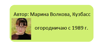 Как справляться с погодными капризами в саду: жара или дождь?