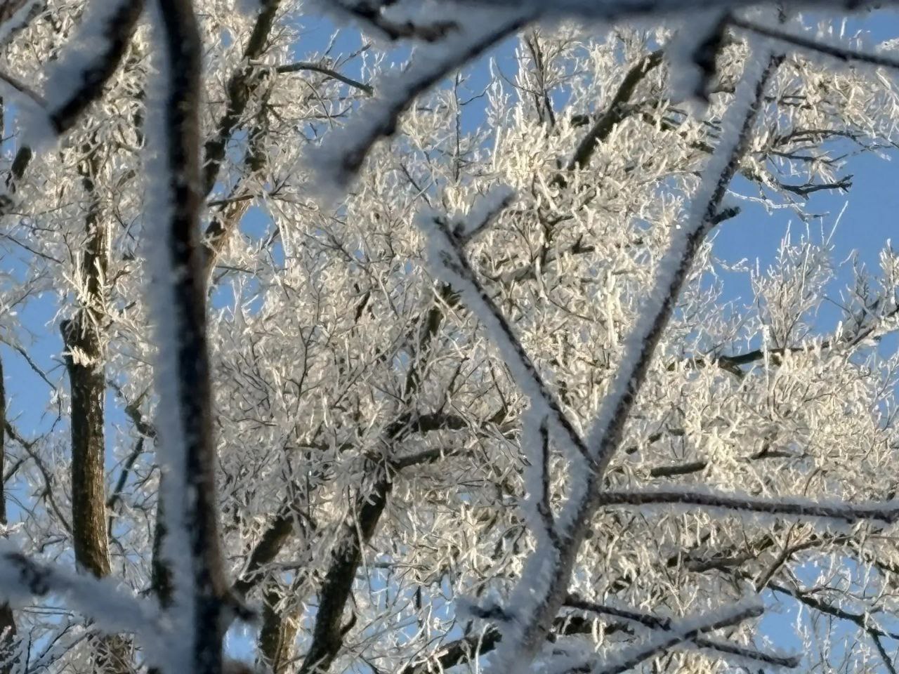 Сегодня, 23 февраля, будет облачно