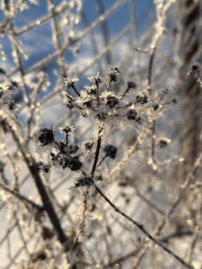 ������ ����, ����������!. ������� ������� ����������� ������� �������� �1 ������