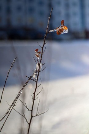 ������ 23 �������. ������� ��������� ������� �������� ������