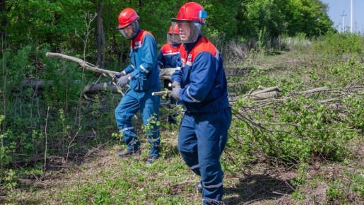Вячеслав Гладков предостерёг от формализма при подготовке к пожароопасному сезону