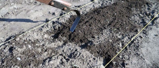 ����� ����� ����� ����������� ������ � ������ ������