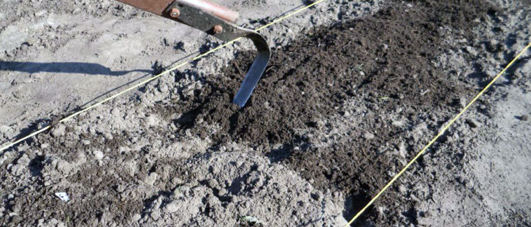 Когда лучше всего подготовить грядки к новому сезону