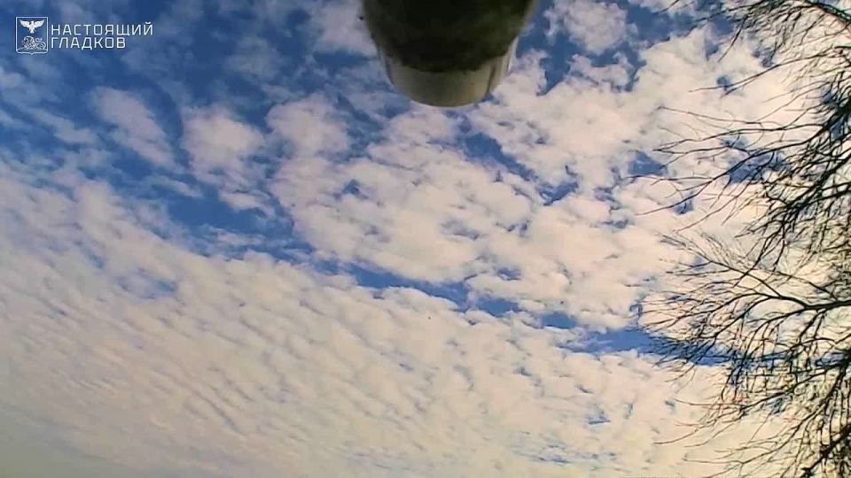 �������� ������� ������ ������������ � ������������� ������� ������ �����������