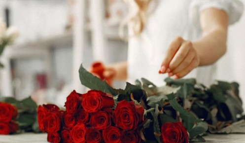 ��� �������� ����� �����: ������� �������� �� ��������