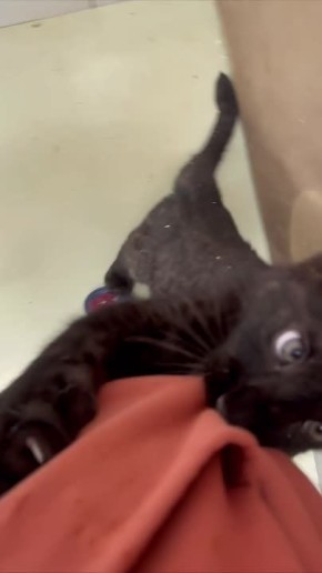 ������ �� ������ �� ������������� ��������!